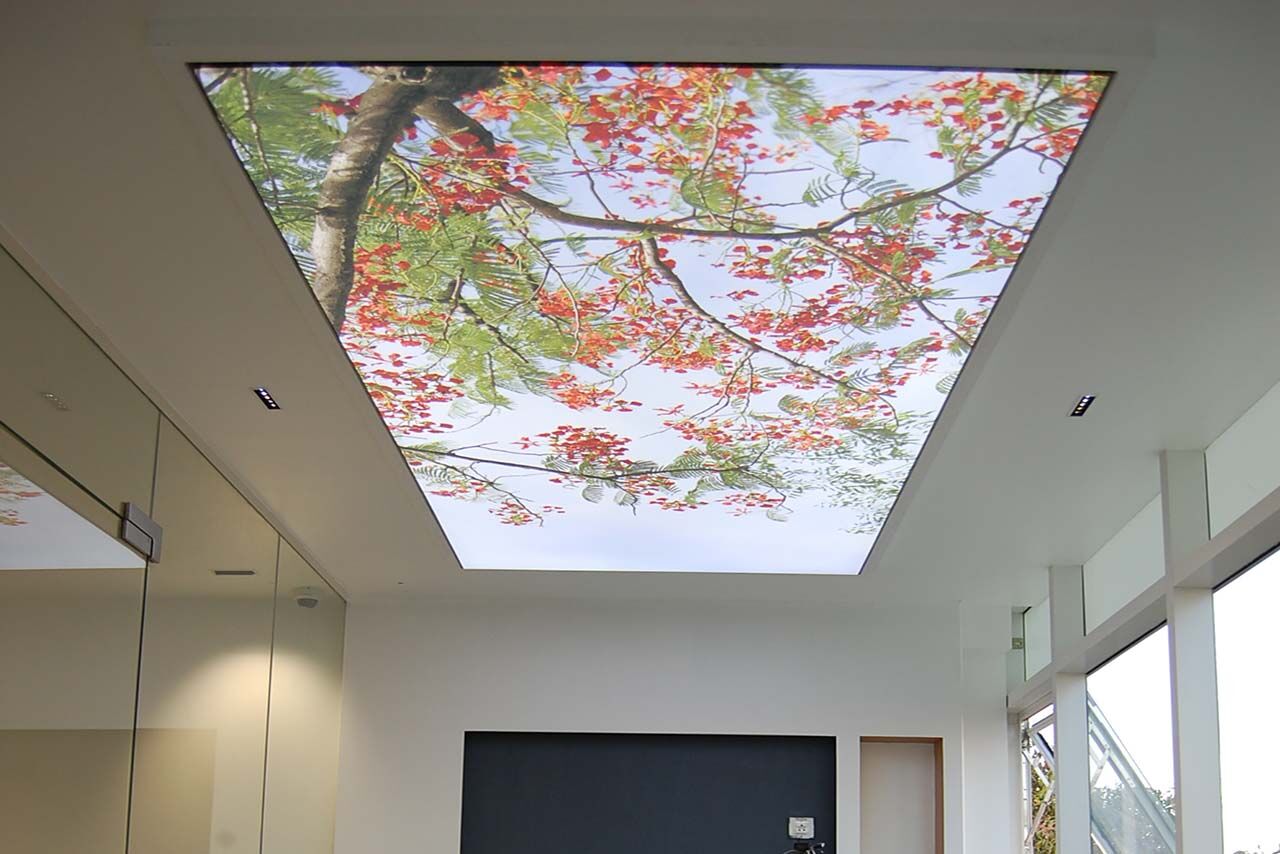 Rach & Shekhar + Architects - Image 3