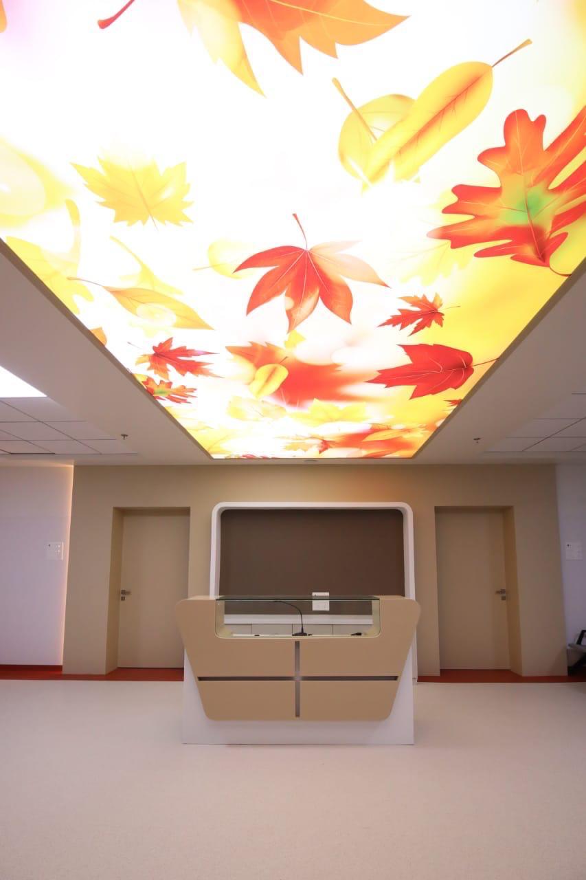 NEWMAT Printed Stretch Ceilings design Ideas