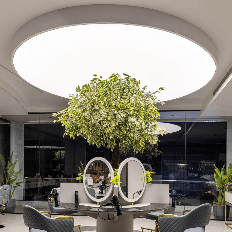 Stretch Ceilings Installation in Salon
